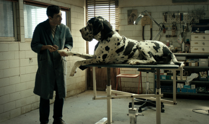 People S Choice Award European Film Awards